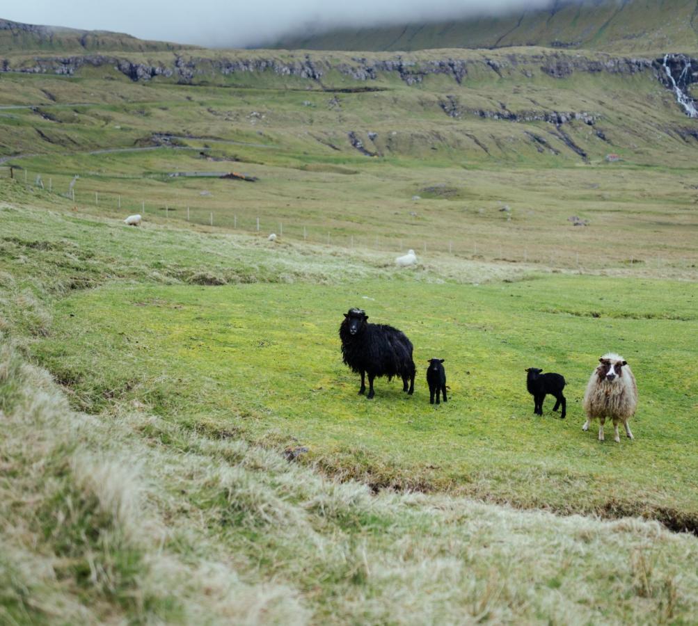 Authentic Faroese House / Unique Location / Nature Hellurnar 외부 사진